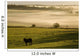 Horses In The Morning Mist, North Wiltshire, Prince Edward Island Wall Mural