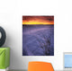 A Golden Winter Sunrise Over Drifted Snow, Alberta Wall Mural