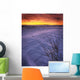 A Golden Winter Sunrise Over Drifted Snow, Alberta Wall Mural