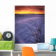 A Golden Winter Sunrise Over Drifted Snow, Alberta Wall Mural