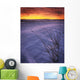 A Golden Winter Sunrise Over Drifted Snow, Alberta Wall Mural