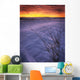 A Golden Winter Sunrise Over Drifted Snow, Alberta Wall Mural