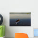 Canoe On Gander River, Gander Bay, Newfoundland And Labrador Wall Mural