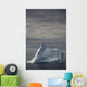 Iceberg, Twillingate, Newfoundland And Labrador Wall Mural