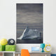 Iceberg, Twillingate, Newfoundland And Labrador Wall Mural