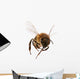 Flying Bee