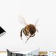 Flying Bee