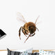 Flying Bee