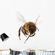 Flying Bee