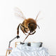 Flying Bee
