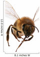 Flying Bee