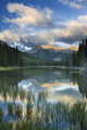 Elbow Lake, Kananaskis Country, Alberta Wall Mural
