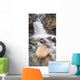 Tangle Falls, Jasper National Park, Alberta Wall Mural