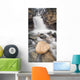 Tangle Falls, Jasper National Park, Alberta Wall Mural