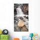 Tangle Falls, Jasper National Park, Alberta Wall Mural