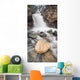 Tangle Falls, Jasper National Park, Alberta Wall Mural