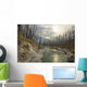 Vermilion River, Kootenay National Park, British Columbia Wall Mural