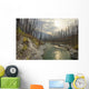 Vermilion River, Kootenay National Park, British Columbia Wall Mural