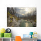 Vermilion River, Kootenay National Park, British Columbia Wall Mural