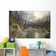 Vermilion River, Kootenay National Park, British Columbia Wall Mural