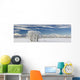 Pasture And Aspen Trees In Winter With The Canadian Rockies Wall Mural