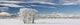 Pasture And Aspen Trees In Winter With The Canadian Rockies Wall Mural