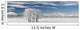 Pasture And Aspen Trees In Winter With The Canadian Rockies Wall Mural