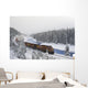 Canadian Pacific Train At Morant's Curve Along The Bow River Wall Mural