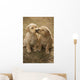 Mixed Breed 8-Week Old Puppy In Farm Yard Near Cochrane, Alberta Wall Mural