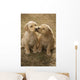 Mixed Breed 8-Week Old Puppy In Farm Yard Near Cochrane, Alberta Wall Mural
