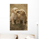 Mixed Breed 8-Week Old Puppy In Farm Yard Near Cochrane, Alberta Wall Mural