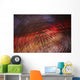 Colourful Blurred Lights Wall Mural