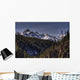 Early Snowfall Wall Mural