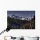 Early Snowfall Wall Mural