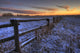 Early Morning Snow On A Cattle Fence, Rural Alberta Wall Mural