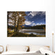 Athabasca River With Mount Fryatt In The Background Wall Mural