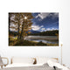 Athabasca River With Mount Fryatt In The Background Wall Mural