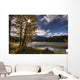Athabasca River With Mount Fryatt In The Background Wall Mural