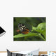 Butterfly On A Green Leaf Wall Mural