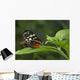 Butterfly On A Green Leaf Wall Mural