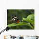 Butterfly On A Green Leaf Wall Mural