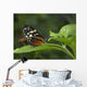 Butterfly On A Green Leaf Wall Mural