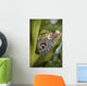 Butterfly On A Green Branch Wall Mural
