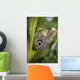 Butterfly On A Green Branch Wall Mural