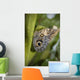 Butterfly On A Green Branch Wall Mural