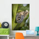 Butterfly On A Green Branch Wall Mural