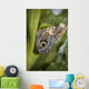 Butterfly On A Green Branch Wall Mural