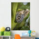 Butterfly On A Green Branch Wall Mural