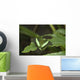 Butterfly On A Green Leaf Wall Mural