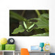 Butterfly On A Green Leaf Wall Mural